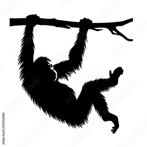 Orangutan Silhouette Hanging From Branch Wildlife