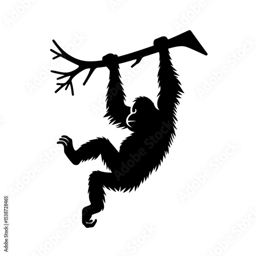 Orangutan Silhouette Hanging From Branch In Rainforest