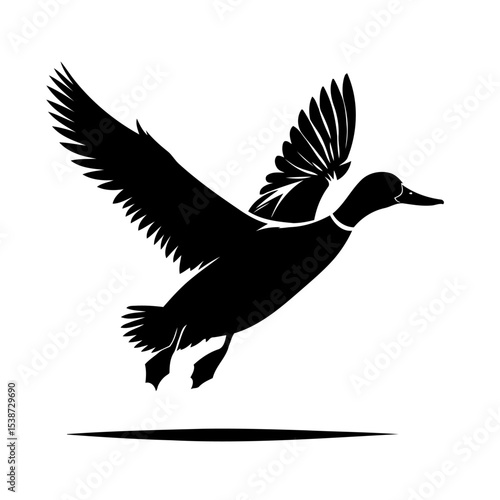 Duck In Flight Silhouette Of Bird Taking Flight