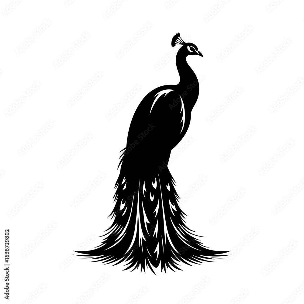 Fototapeta premium Peacock Silhouette Elegant Bird