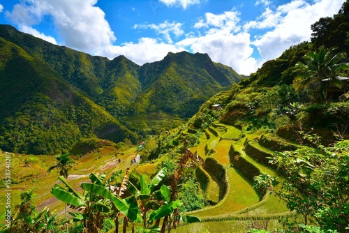 Fototapeta The Batad Rice Terraces of the Philippine Cordilleras - UNESCO World Heritage Si