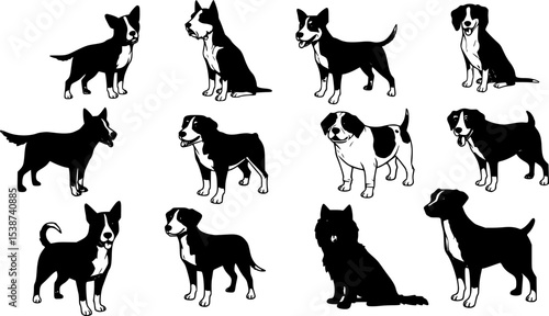 Tisk, vector set of dogs Transparent background PNG cutout.
