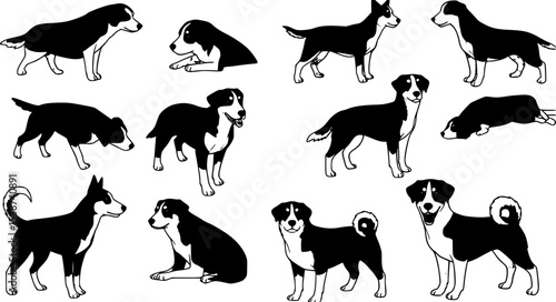 Tisk, vector set of dogs Transparent background PNG cutout.
