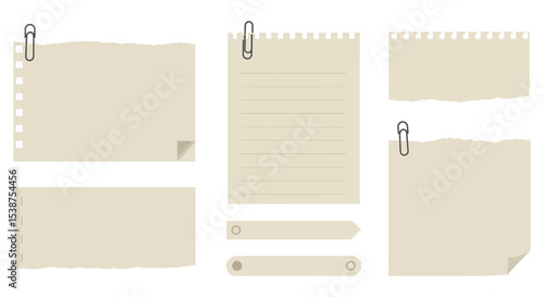 Collection of blank torn and lined paper sheets with paper clips vector illustration