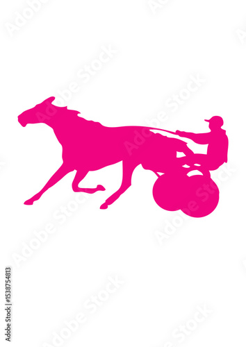 cheval course hippique jockey