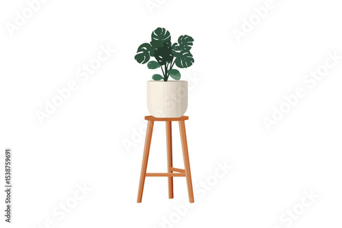 Monstera Plant in White Pot on Wooden Stand monstera deliciosa