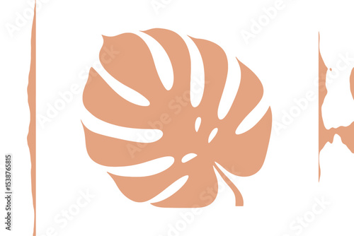 Peach Monstera Leaf Abstract White Background Minimalist Design