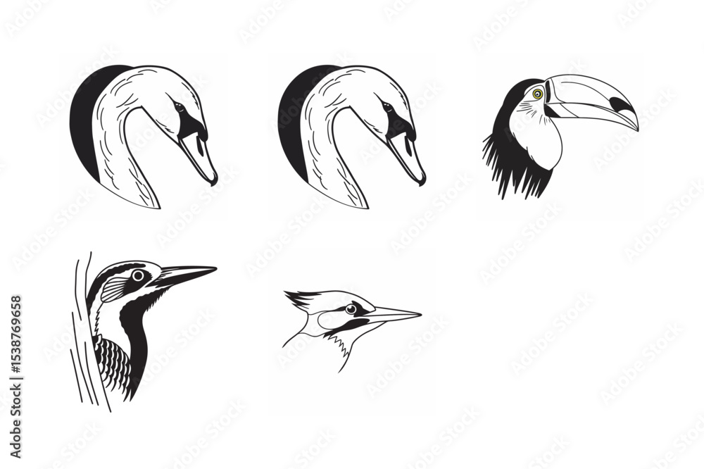 Obraz premium line art of wild bird bundle on the white background