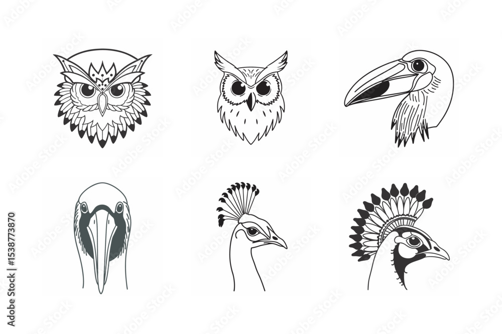 Fototapeta premium ine art of bowerbird head bundle on the white background 