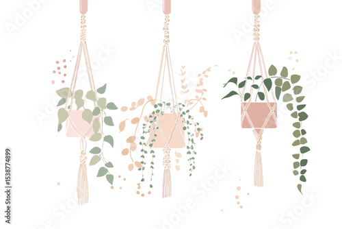 Three Macrame Plant Hangers with Green Plants Pastel Pink Pots