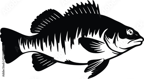 Detailed Black Silhouette of a Deep-Sea Anglerfish Vector Illustration, fish on a white background