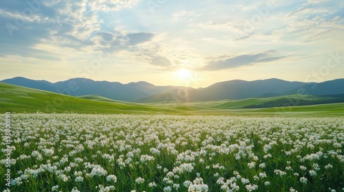 Serene Landscape of Flowering Field under Bright Sky with Mountains in the Background during Golden Hour