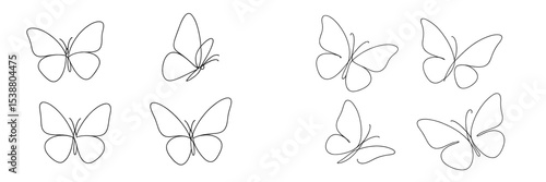 Simple line drawings of butterflies arranged in various positions on a white background, showcasing their delicate shapes and forms