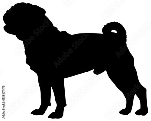 Silhouette in black of a pug dog, isolated 