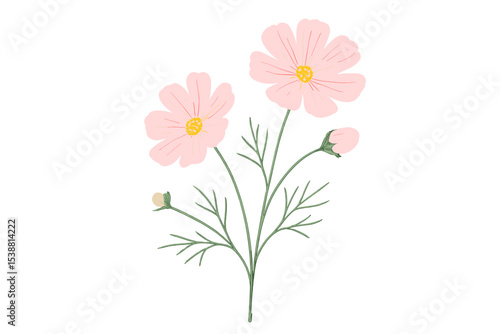 Delicate pink flowers with green stems captured in a minimalist botanical illustration against a plain background