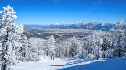 Wallpaper Mural Majestic Winter Landscape with Snow-Covered Trees and Clear Blue Sky Overlooking Mountain Range in a Scenic View Torontodigital.ca