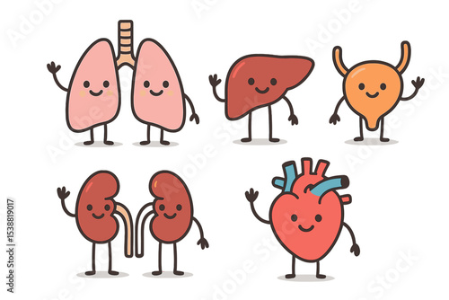 Cartoon representations of human organs engaging in friendly activities in a playful setting