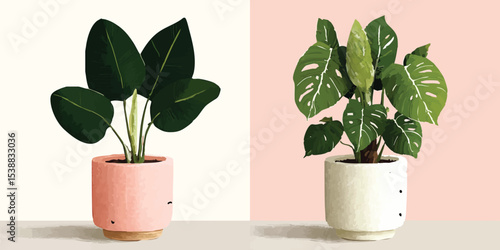 Two aesthetically pleasing potted plants, a study in modern botanical illustration. Each plant, distinct in leaf form and texture, sits within a minimalist pot, framed against soft pastel backdrops.