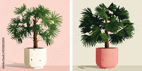 Two stylized illustrations of potted Chamaedorea elegans, also known as parlor palms, showcasing variations in pot color and plant fullness against solid background.