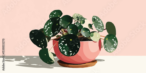 A meticulously designed ill...