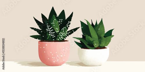Two potted succulents again...