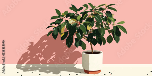 A captivating indoor plant casting shadows, offering an artistic, fresh take on home decor and lifestyle. the composition and lighting create a pleasing aesthetic.