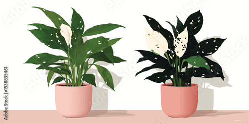 A duo of peace lilies, one in vibrant color and the other in grayscale, contrasts beautifully against a background.