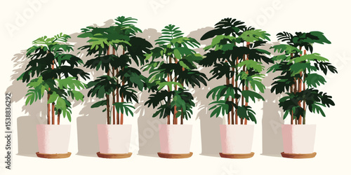 A row of meticulously arran...