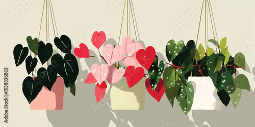 Three hanging planters, each containing a unique variety of indoor plants, add a touch of nature to any interior space.