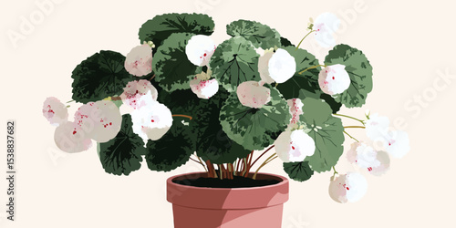 A serene still life of a vibrant begonia plant, featuring delicate white blooms and lush green foliage, presented in an earthenware pot. Capturing the charm of natural beauty and domestic bliss.
