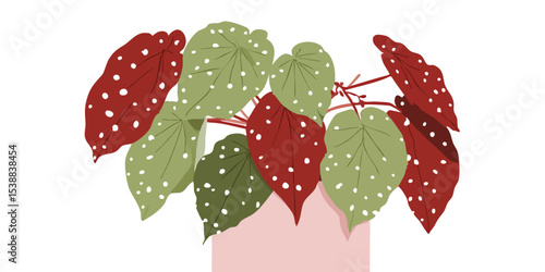 A striking artistic depiction of a begonia plant, with its distinctive spotted leaves and vibrant colors, evokes a sense of natural elegance and botanical beauty.