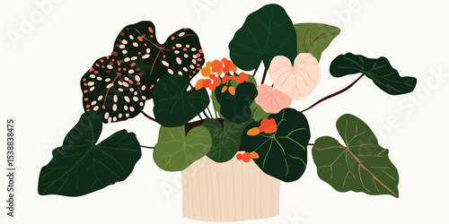 A vibrant floral still life...