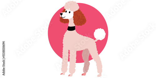 A delightful pink poodle, e...