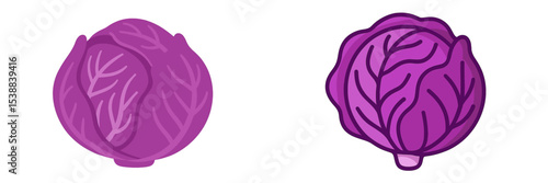 Different styles of purple cabbage showcased in a minimalist design on a plain background for culinary inspiration