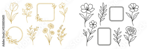 Floral designs with decorative frames and natural elements for artistic projects and crafts