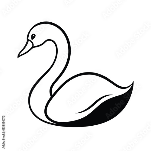 black swan vector illustration