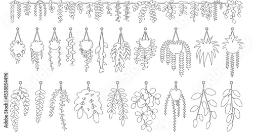 Line Art of Hanging Plants and Greenery in Pots