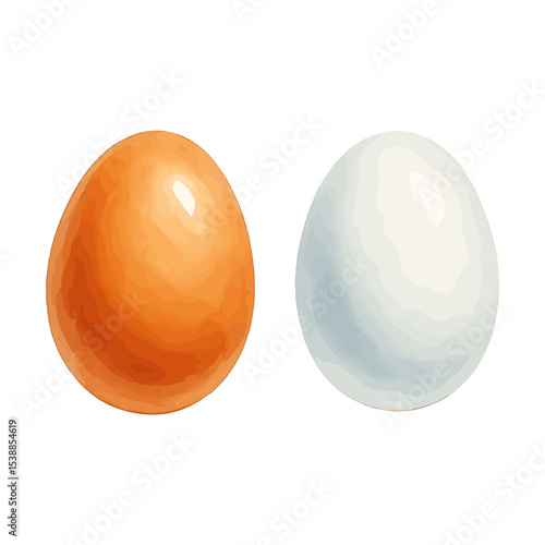 Brown Chicken Egg and White Duck Egg