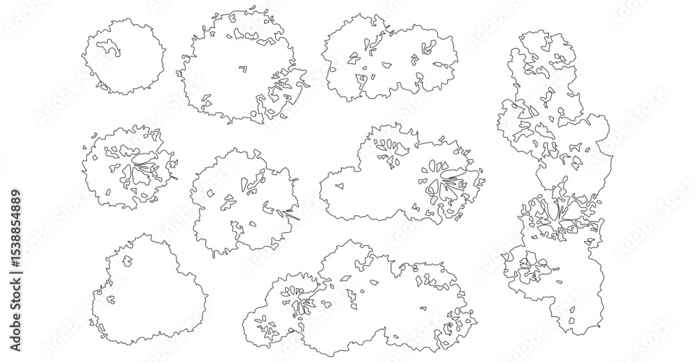 Floral Outline Illustrations of Small and Large Bushes