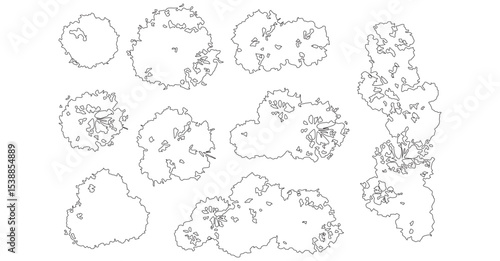 Floral Outline Illustrations of Small and Large Bushes