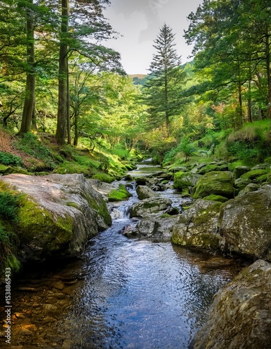 Serene Forest Stream Flowing Through Rocks and Green Trees in a Lush Landscape Scene - Nature Photography