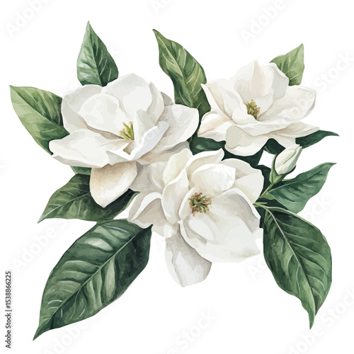 A Gardenia Bouquet, watercolor painting vector, isolated on a white background.