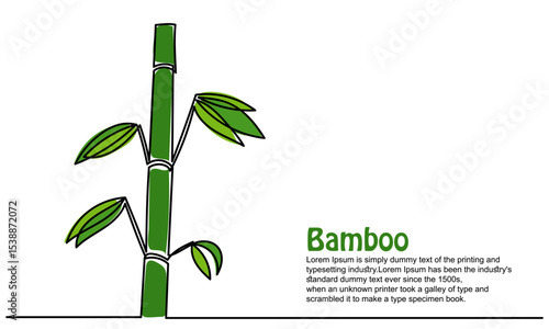continuous line of bamboo. Single line bamboo tree drawing for a plantation logo. Evergreen, flowering plant icon with a modern, minimal vector style.Green bamboo with leaves isolated on a white 
