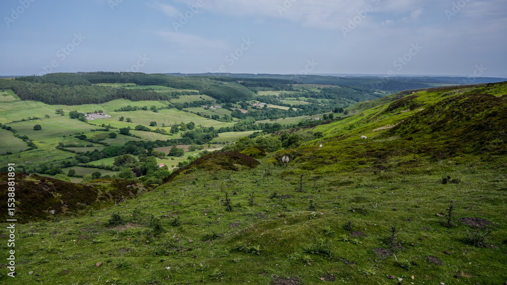 Obraz premium Breathtaking panorama of rolling green hills, valleys, and forests in the North York Moors National Park, showcasing the beauty of the English countryside