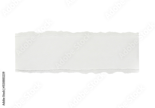 Wallpaper Mural Isolated piece of torn white paper with rough edges on PNG background, torn, paper, white, blank, isolated, black, background, texture, rough, edge, jagged, scrap, piece, fragment, collage, design ele Torontodigital.ca