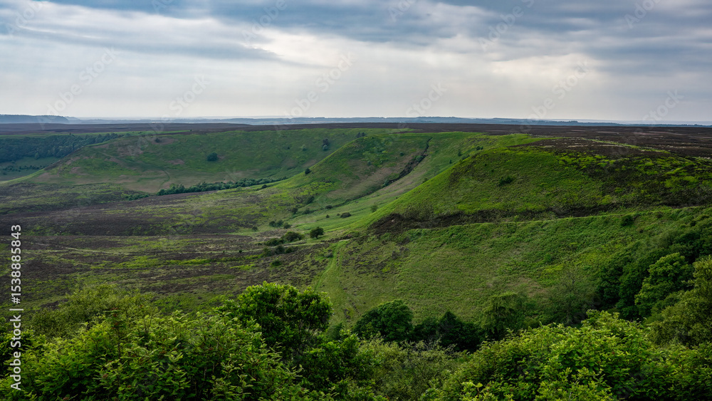 Naklejka premium Breathtaking landscape showing the beauty of nature in North York Moors National Park, UK, with its green hills and valleys under a cloudy sky