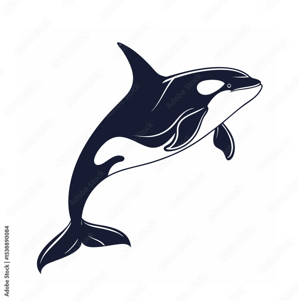 Naklejka premium A high-quality vector illustration of a majestic orca fish, also known as a killer whale, depicted in a sleek, dynamic pose. The design showcases the orca's distinctive black and white coloring,