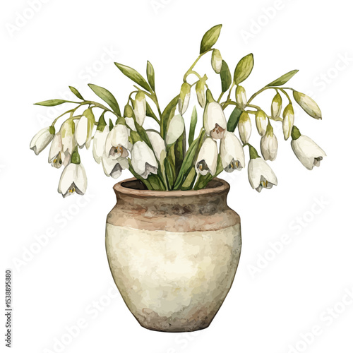 A Dutchmans Breeches In A Vase, watercolor illustration vector, isolated on a white background.