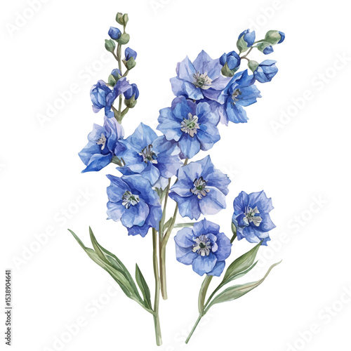 A Delphinium Stem Bouquet, watercolor clipart vector, isolated on a white background.