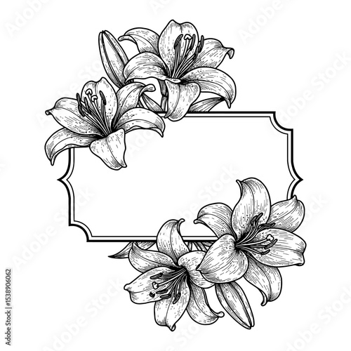 Decorative Floral Lily Flower Frame Design Black and White Outline Line Art Drawing for Blank Label Background